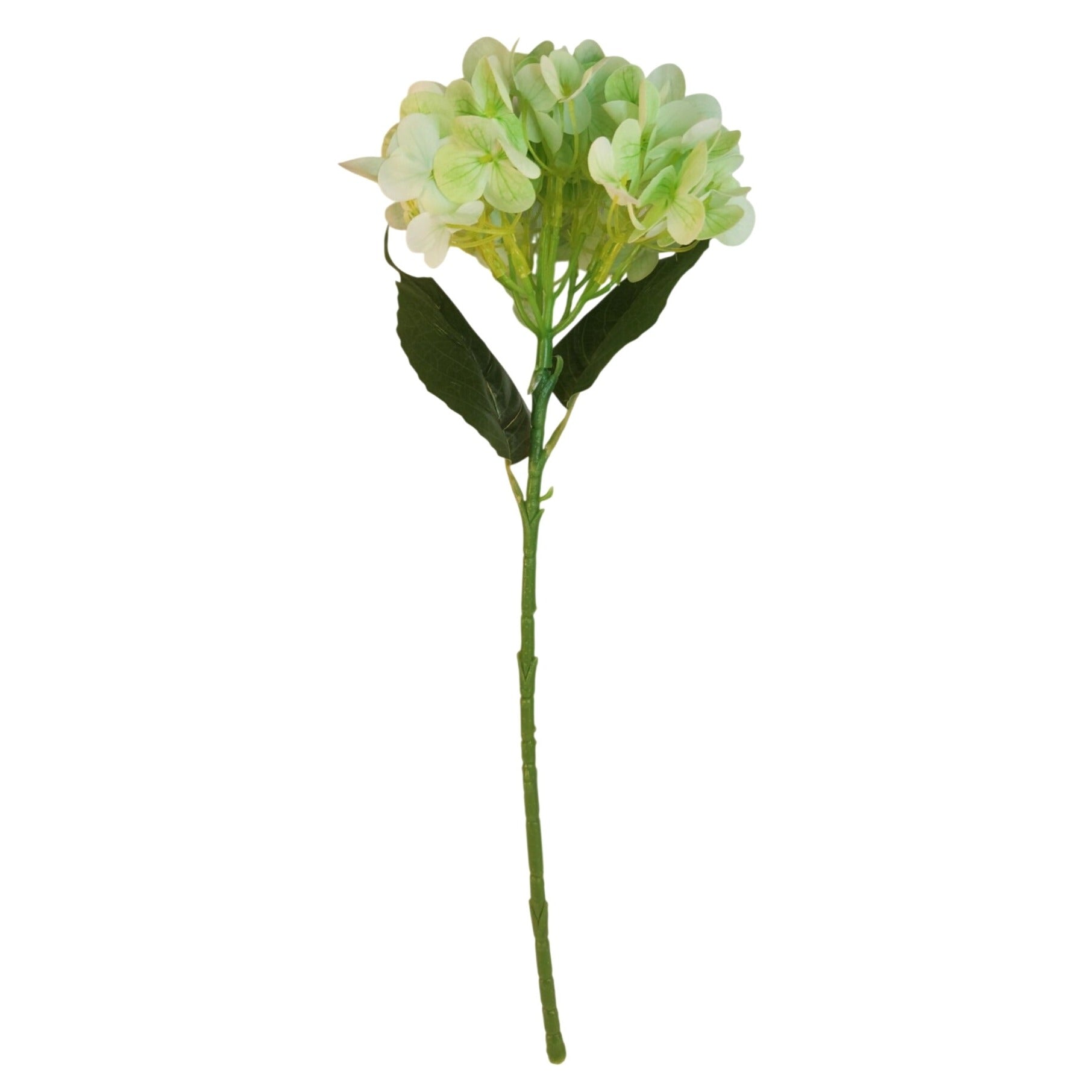 Light green artificial hydrangea stem silk flower on white background, full stem view for spring wedding and home decor