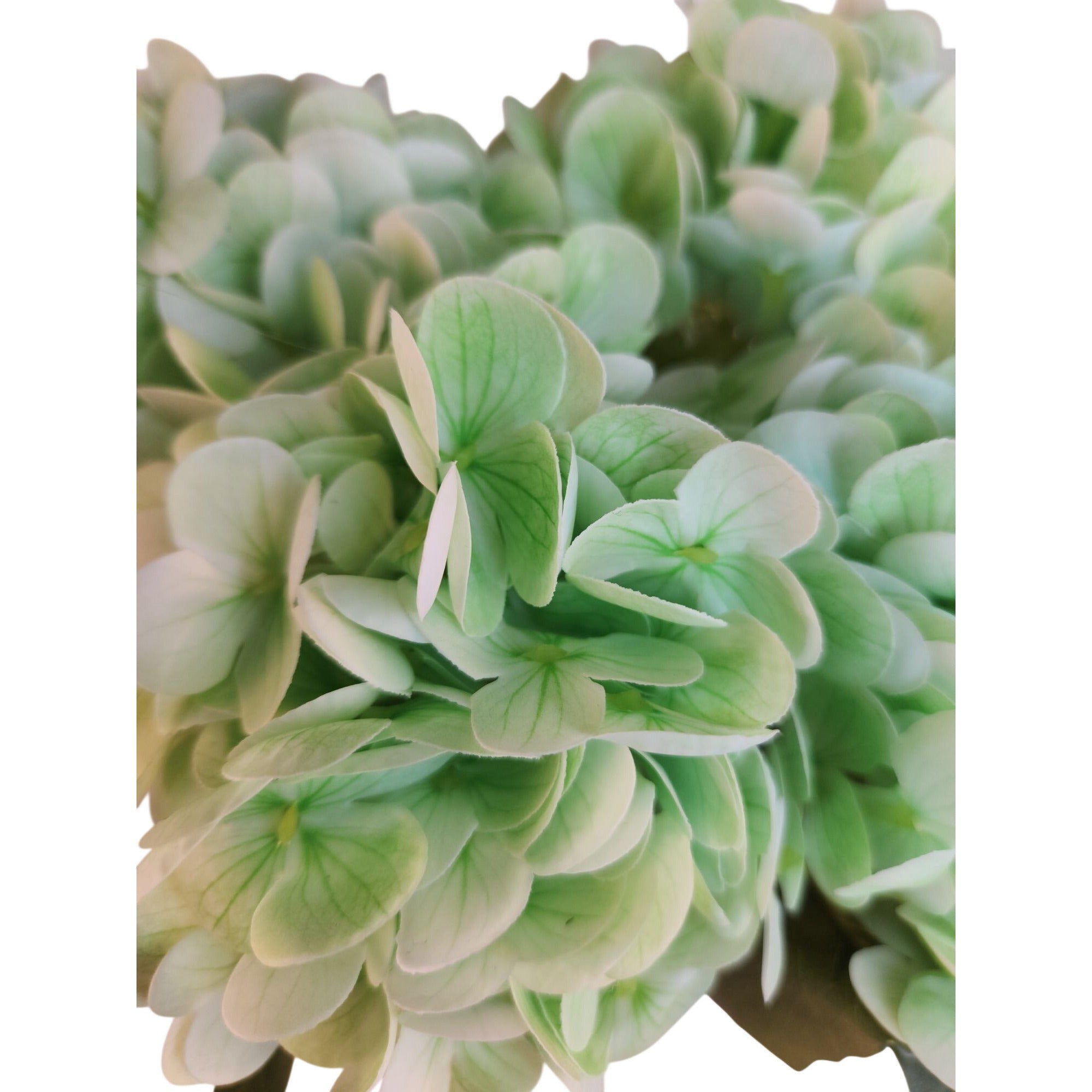 Light Green Hydrangea Stem Artificial Silk Flower Spring Wedding Decor