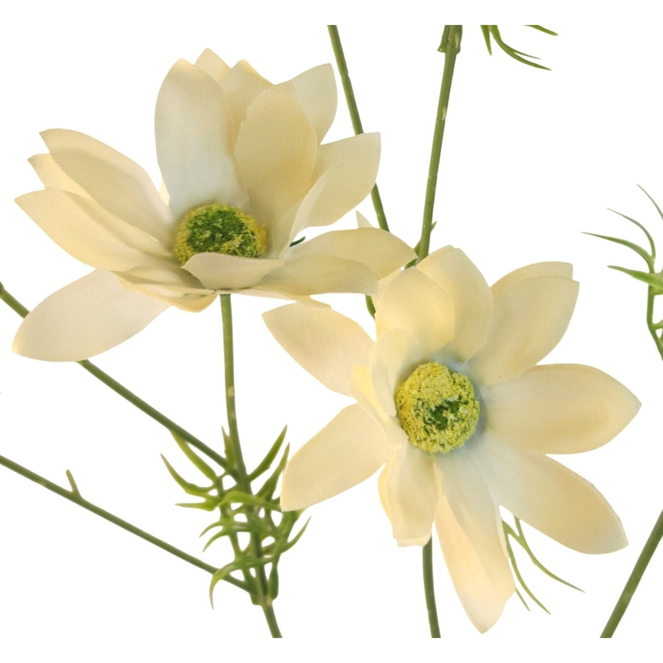 Two cream-colored artificial flowers with yellow-green centers and green stems, isolated on a white background.