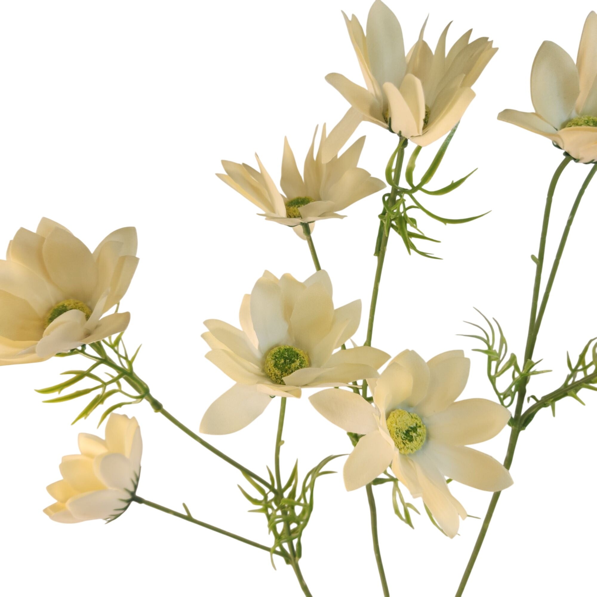 Cream Beige Artificial African Daisy Stems Set of 3 25 Inch Real Touch Spring Flowers
