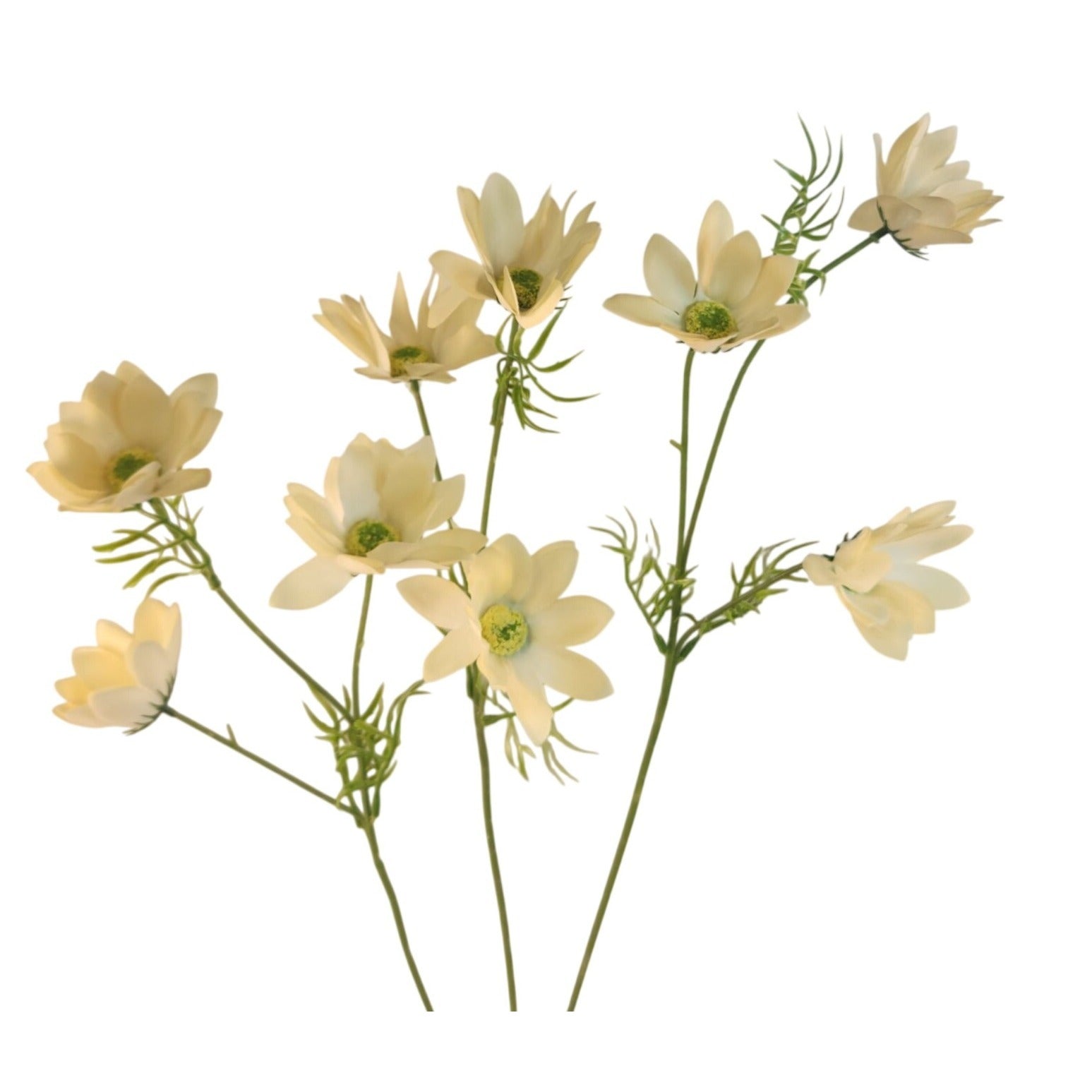 Cream Beige Artificial African Daisy Stems Set of 3 25 Inch Real Touch Spring Flowers