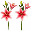 Real Touch Pink White Lily Stems Set of 2, Artificial Lily Flowers, Faux Floral Stems, Stargazer Lily Spray, Cottage Garden Flowers, Wedding