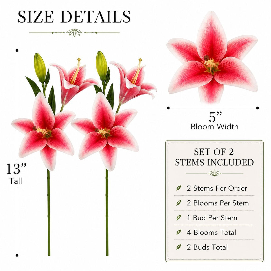 Floral arrangement with size details including height, bloom width, and number of stems included.