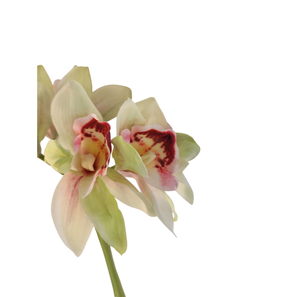 Artificial Cymbidium Orchid Stems Cream Green Burgundy Faux Orchid Bouquet Realistic Floral Arrangement 15 Inch