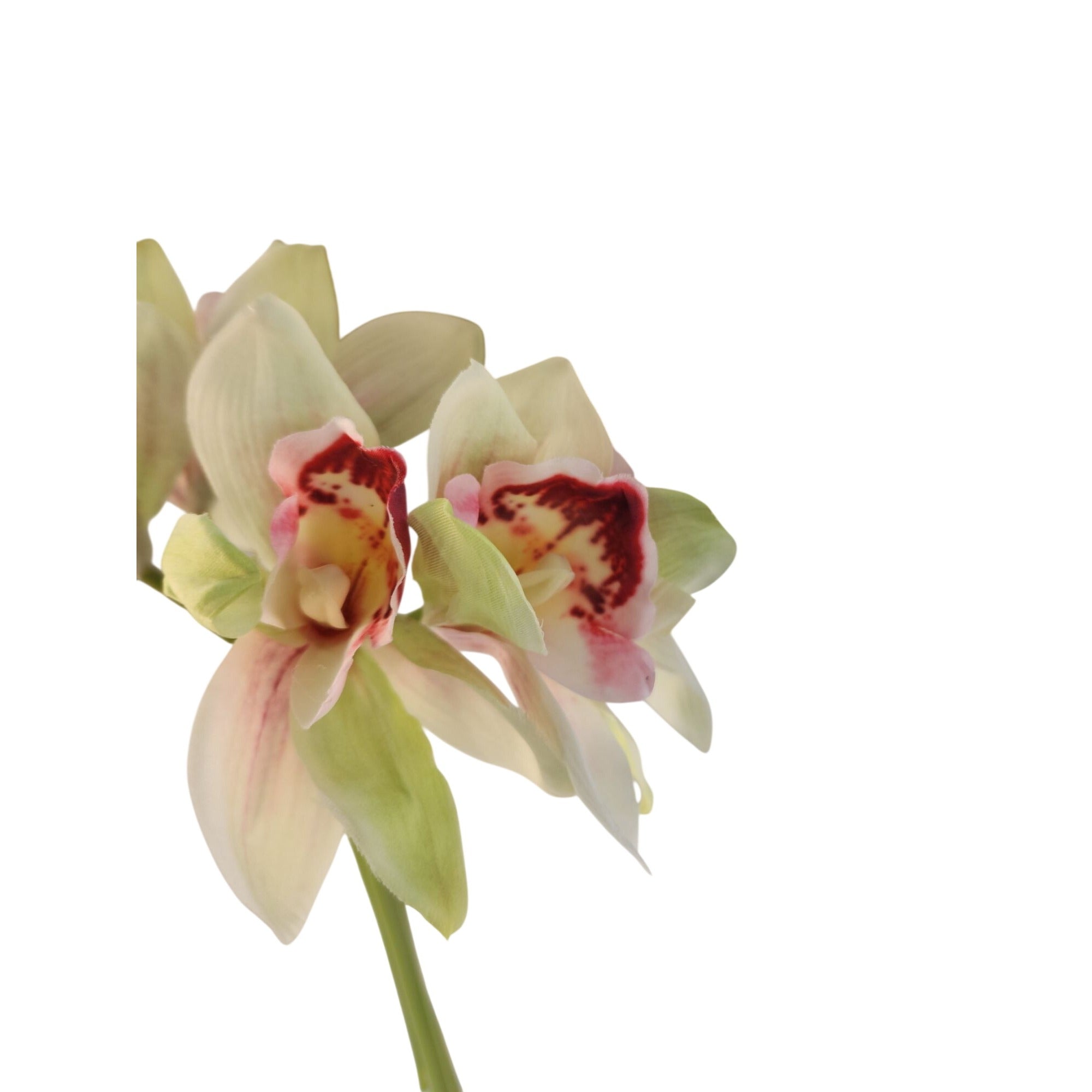 Artificial Cymbidium Orchid Stems Cream Green Burgundy Faux Orchid Bouquet Realistic Floral Arrangement 15 Inch