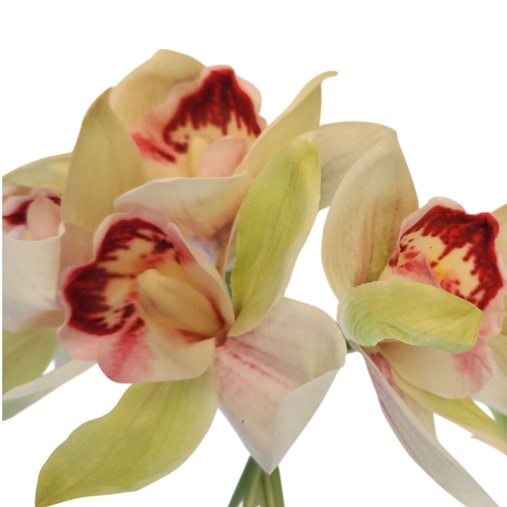 Artificial orchid flowers on a white background