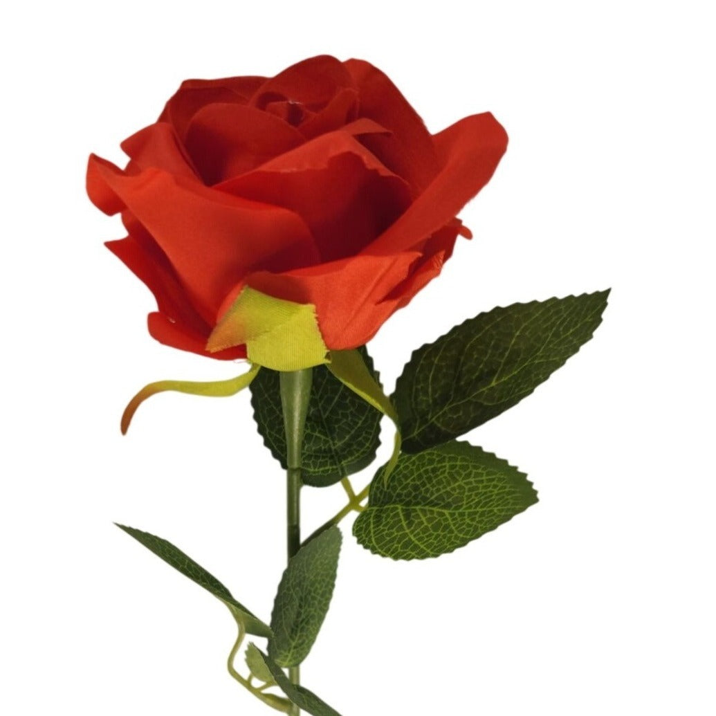 Red rose with green leaves on a white background
