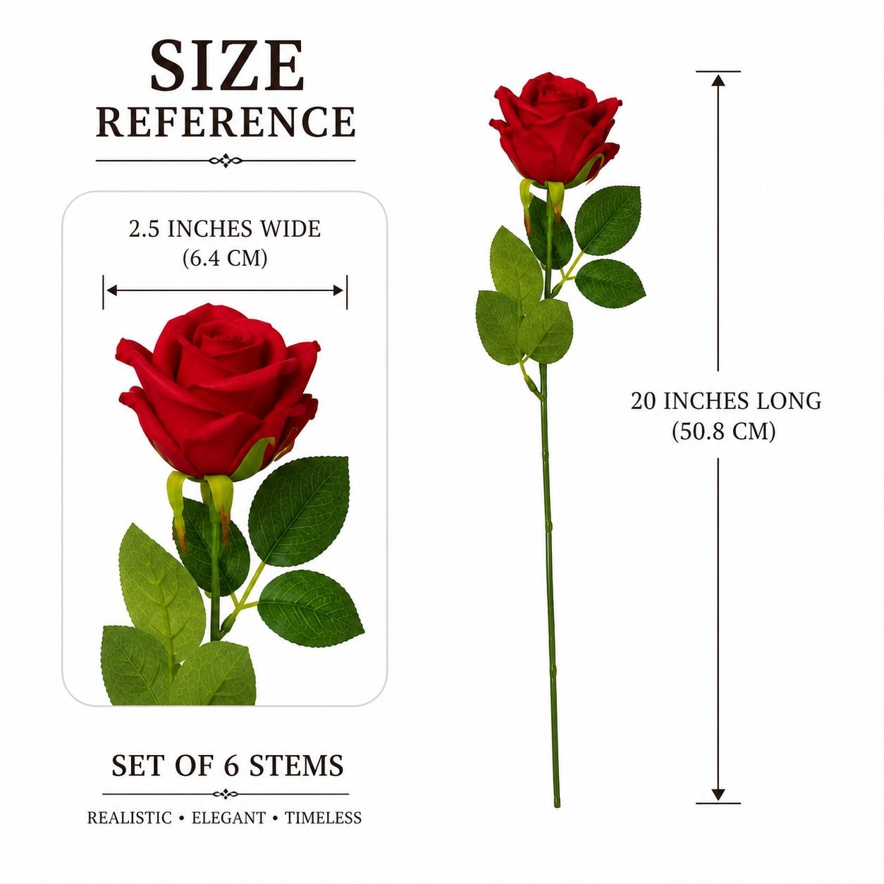 Red rose stems with size reference on a white background