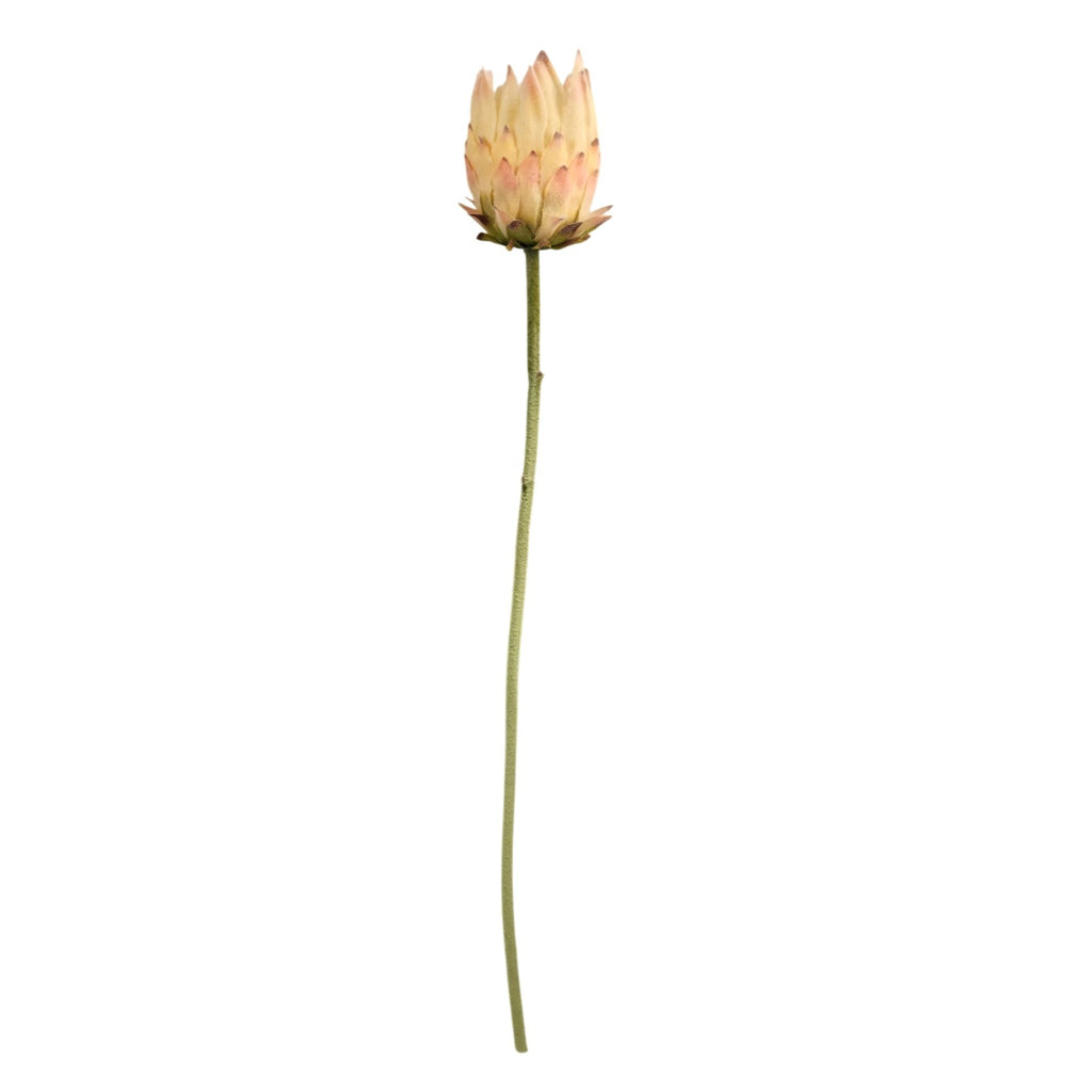 Artificial King Protea Stem Blush Pink Cream Faux Giant Protea Flower 25 Inch
