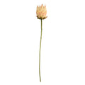 Artificial King Protea Stem Blush Pink Cream Faux Giant Protea Flower 25 Inch