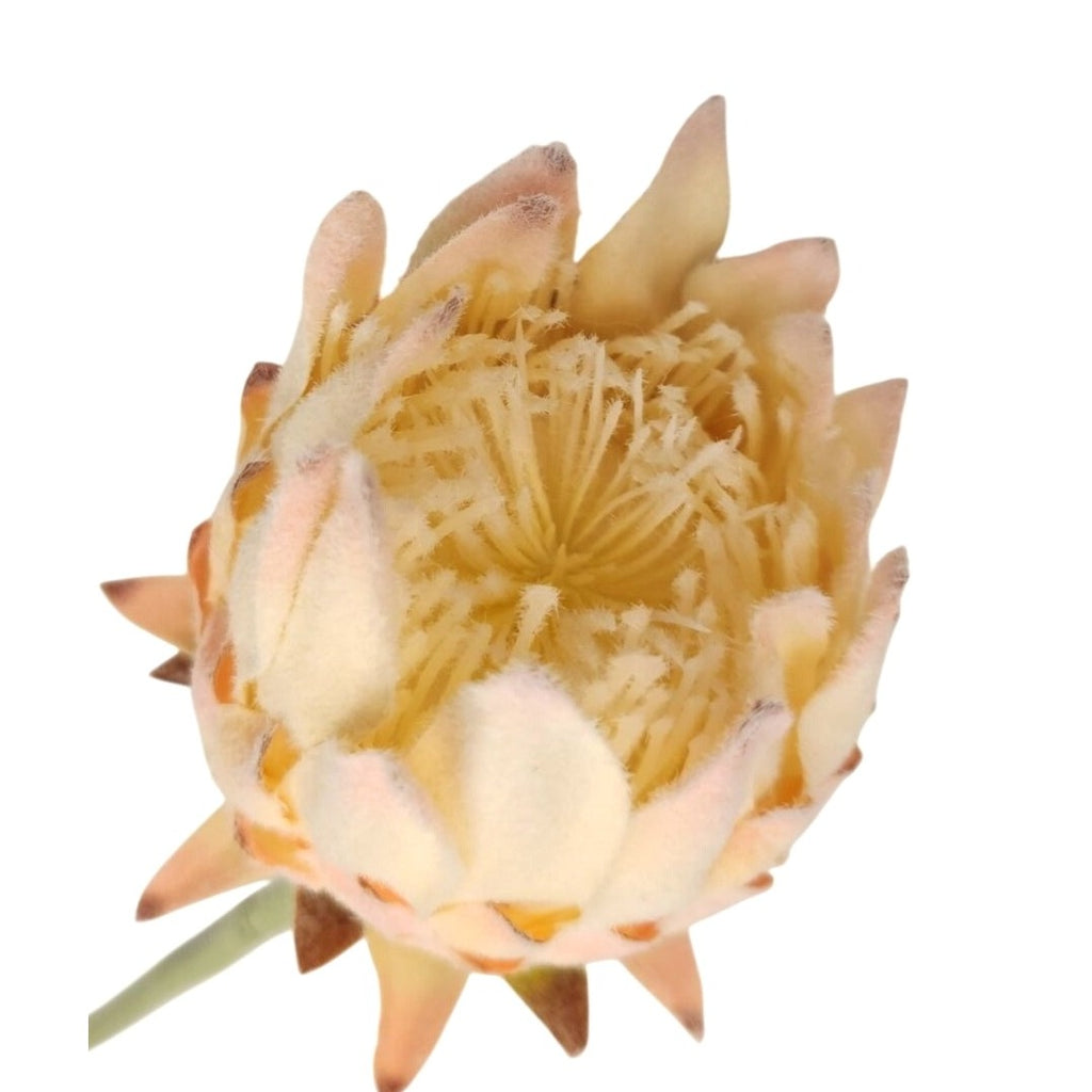 Artificial King Protea Stem Blush Pink Cream Faux Giant Protea Flower 25 Inch