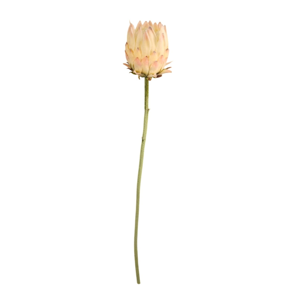 Artificial King Protea Stem Blush Pink Cream Faux Giant Protea Flower 25 Inch