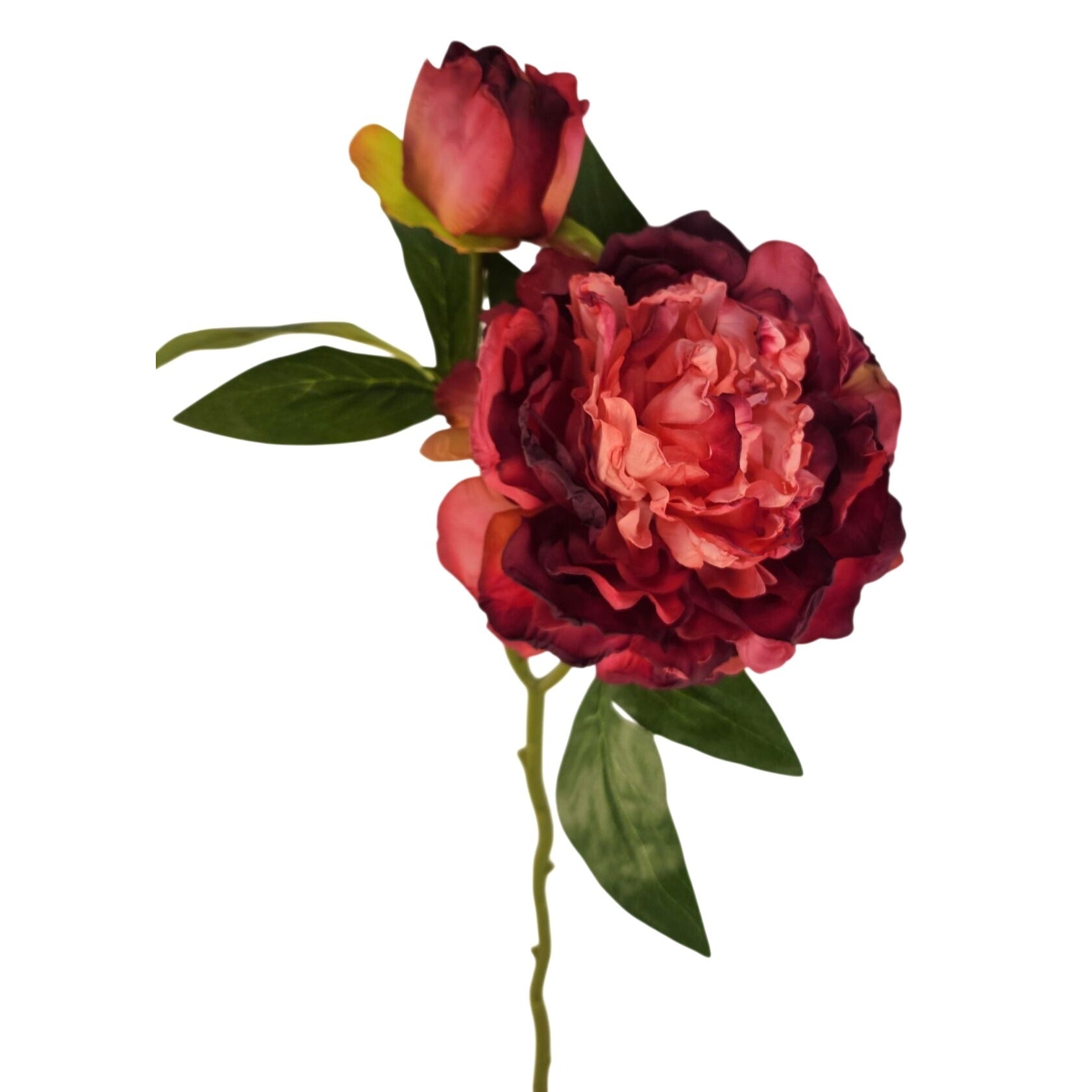 Rose Pink Faux Peony Stem 18 Inch Wedding Artificial Silk Flower Burgundy Tips