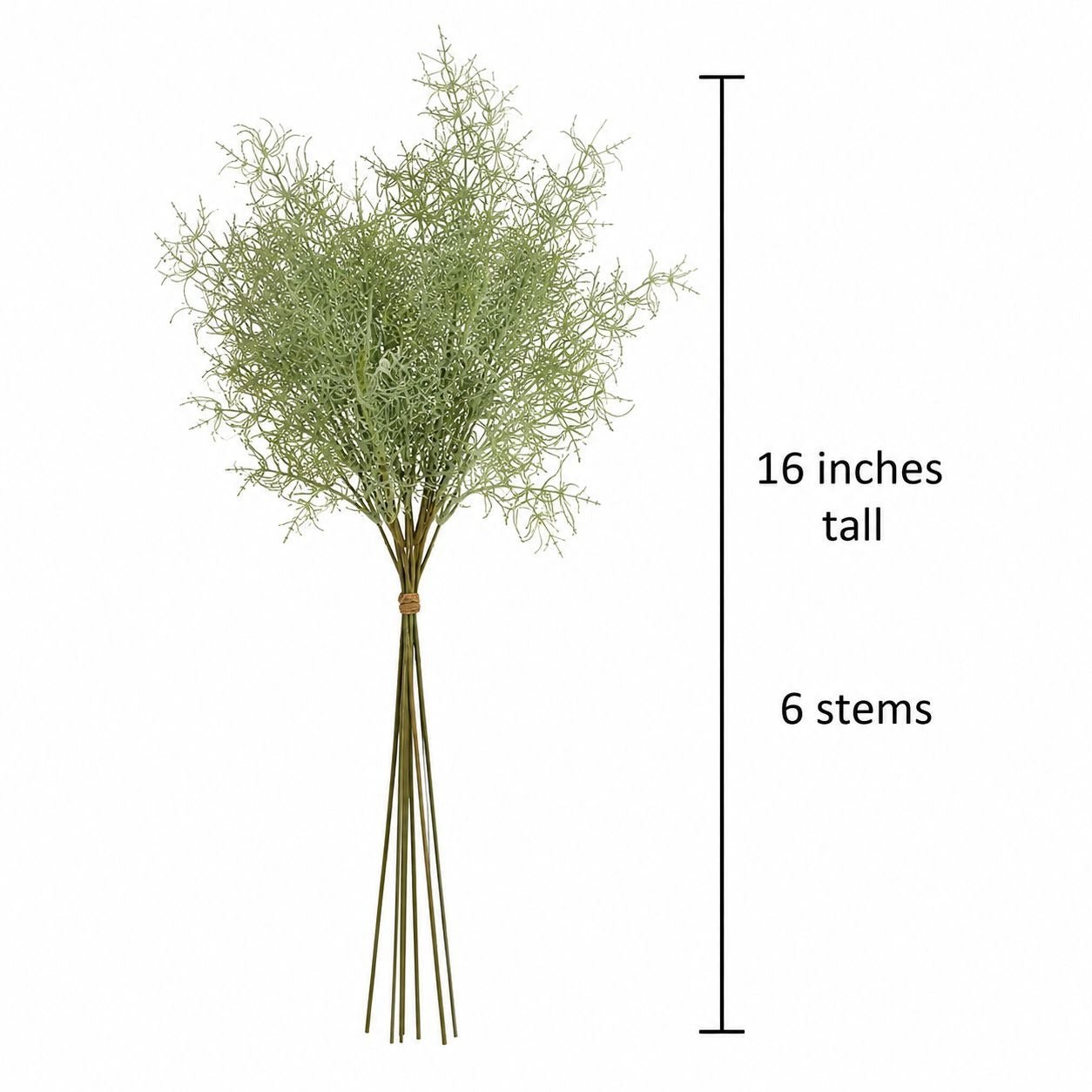 Bouquet of artificial green stems with measurement details on a white background