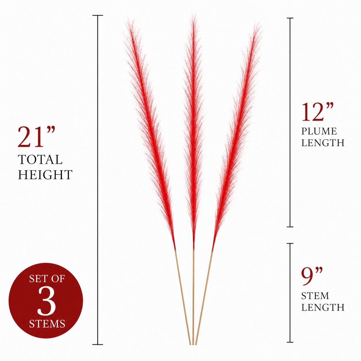 Three red pampas grass stems with beige stems on a white background, annotated with dimensions: 21 inch total height, 12 inch plume length, and 9 inch stem length, plus a red circle noting a set of 3 stems.