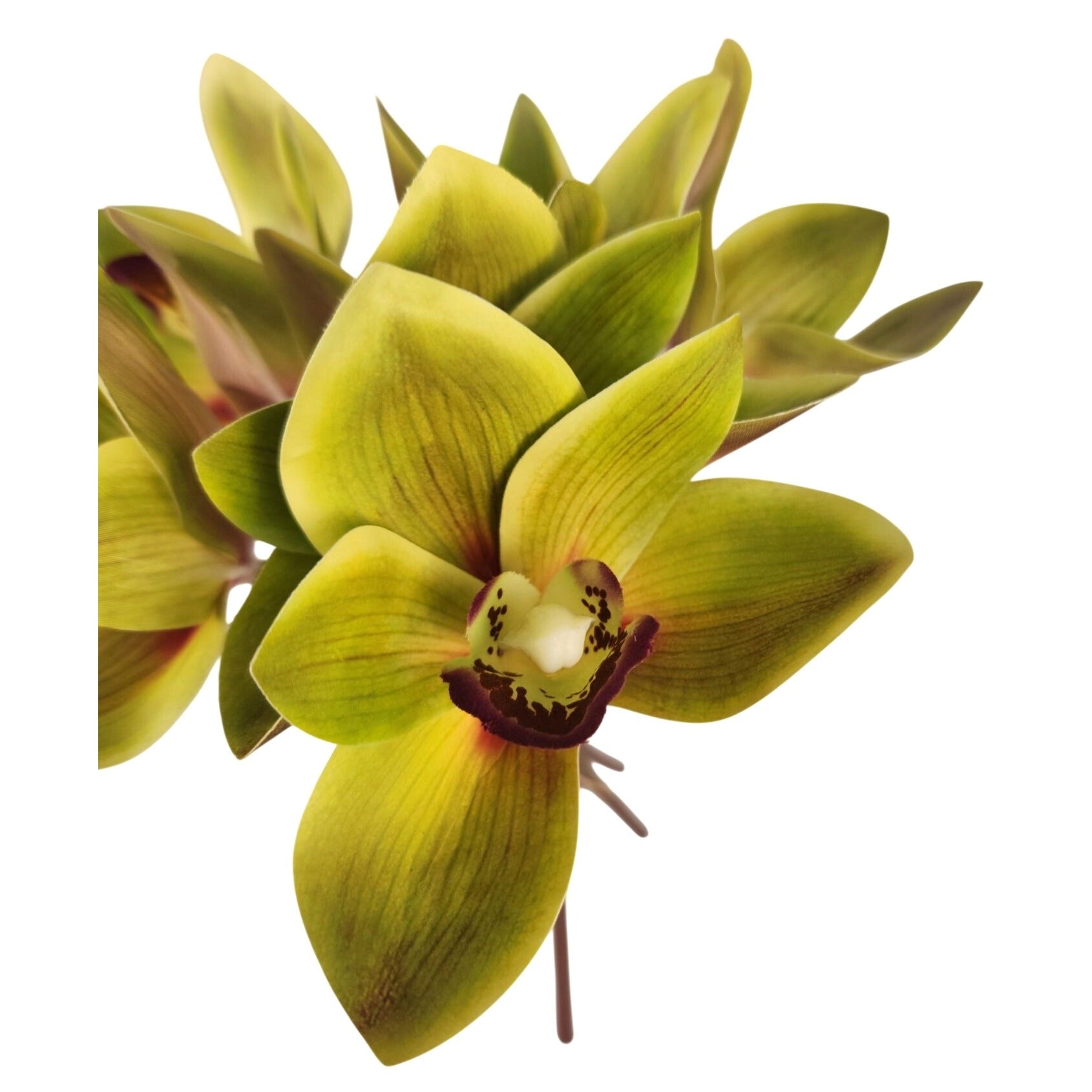 Green Cymbidium Orchid Artificial Flowers 6 Stem Bundle, Faux Orchid Wedding Flowers, DIY Corsage Boutonniere Supply
