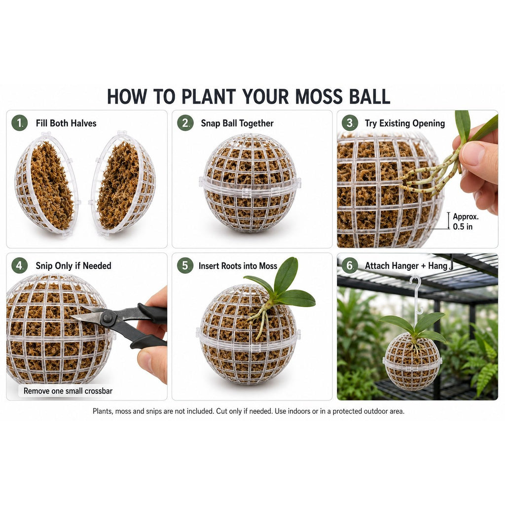 A six-step instructional graphic titled 'HOW TO PLANT YOUR MOSS BALL' showing how to use and plant a moss ball potting medium. The panels demonstrate filling the half-sphere, snapping the outer mesh together, trying an opening, snipping excess mesh, rooting the plant inside the moss ball, and hanging the finished pot on a greenhouse rack.