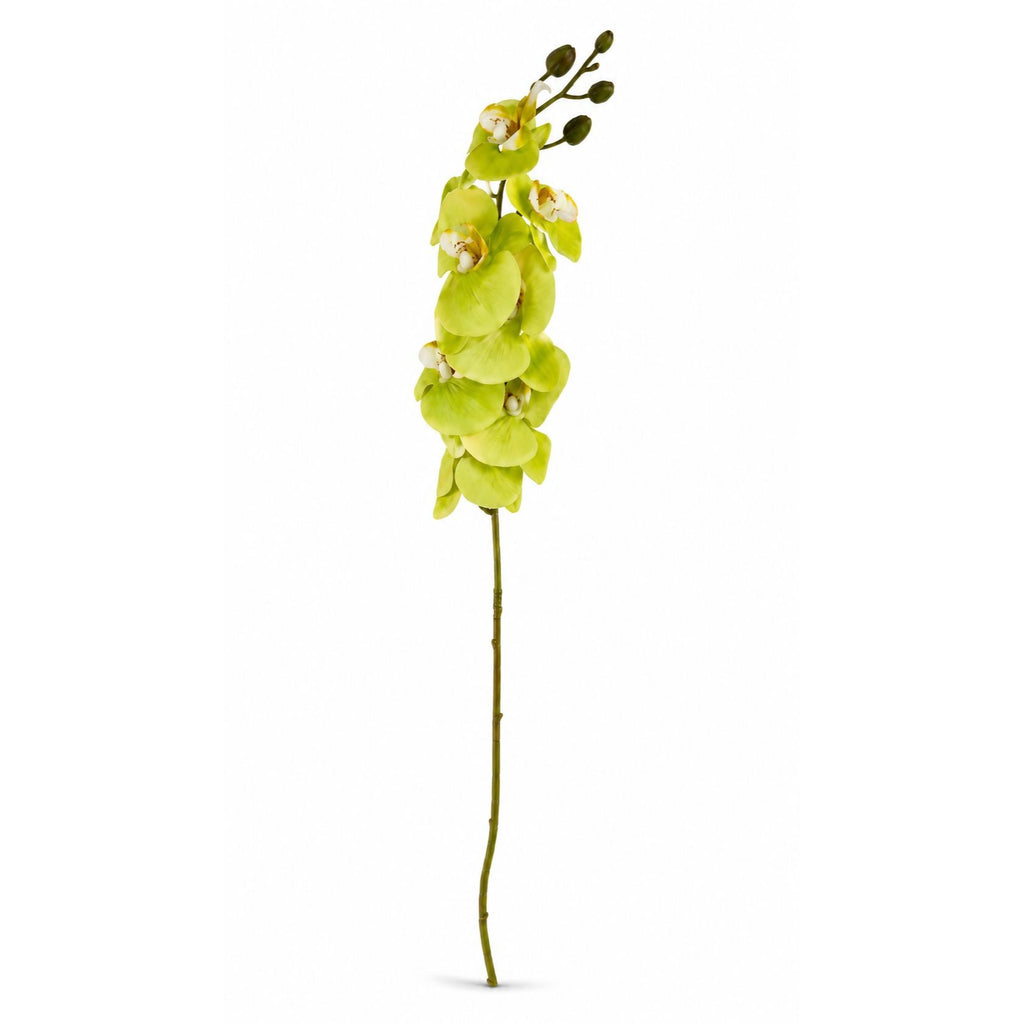 Real Touch Cymbidium Orchid Stem | Green Artificial Orchid | 31 Inch Faux Floral Stem | Wedding Arrangements