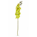 Real Touch Cymbidium Orchid Stem | Green Artificial Orchid | 31 Inch Faux Floral Stem | Wedding Arrangements