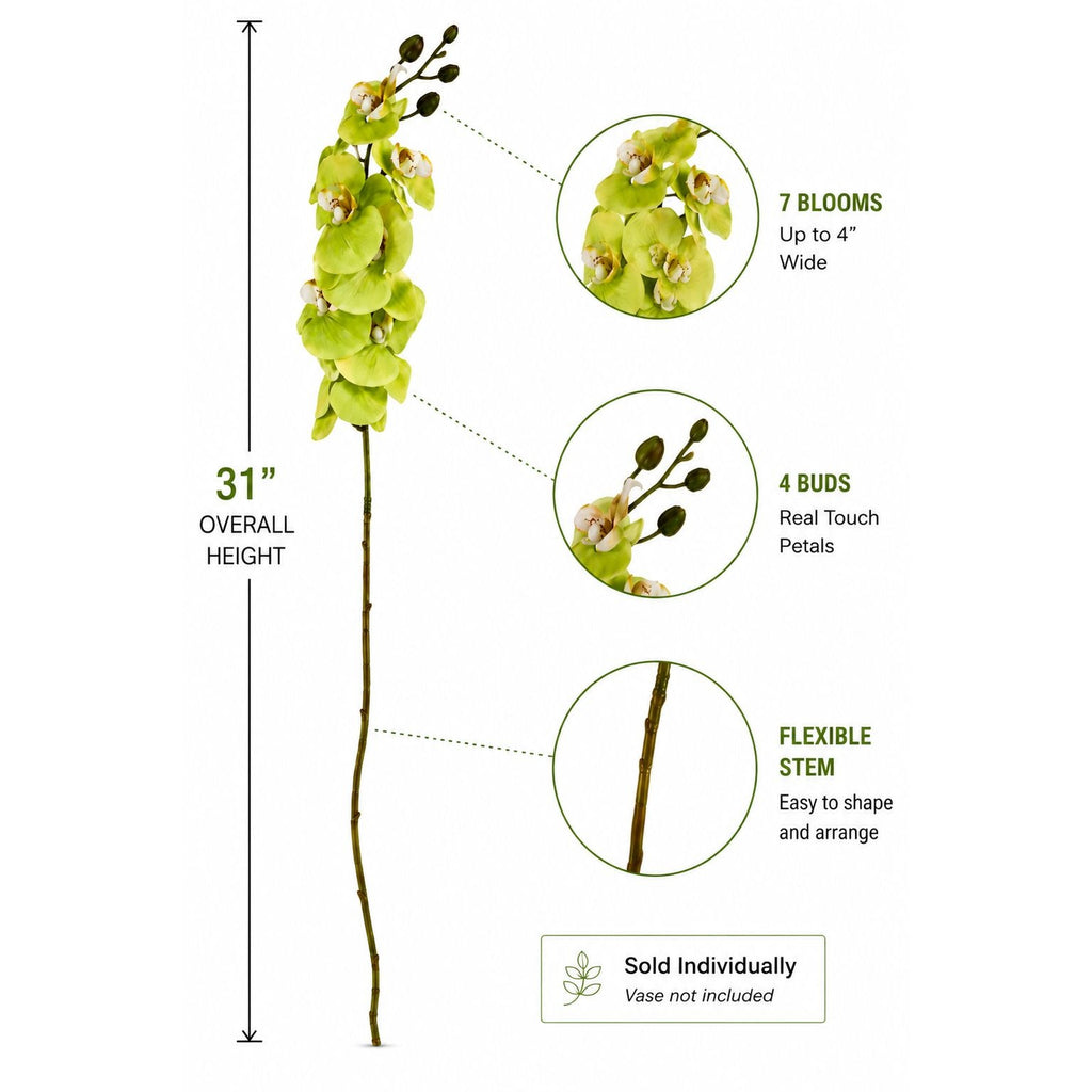 Real Touch Cymbidium Orchid Stem | Green Artificial Orchid | 31 Inch Faux Floral Stem | Wedding Arrangements