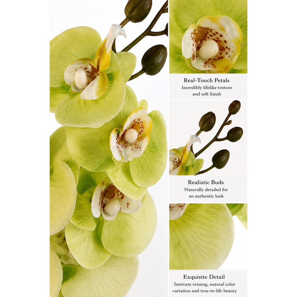 Real Touch Cymbidium Orchid Stem | Green Artificial Orchid | 31 Inch Faux Floral Stem | Wedding Arrangements