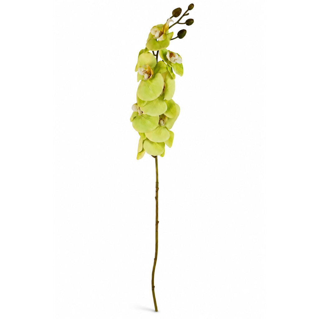 Real Touch Cymbidium Orchid Stem | Green Artificial Orchid | 31 Inch Faux Floral Stem | Wedding Arrangements