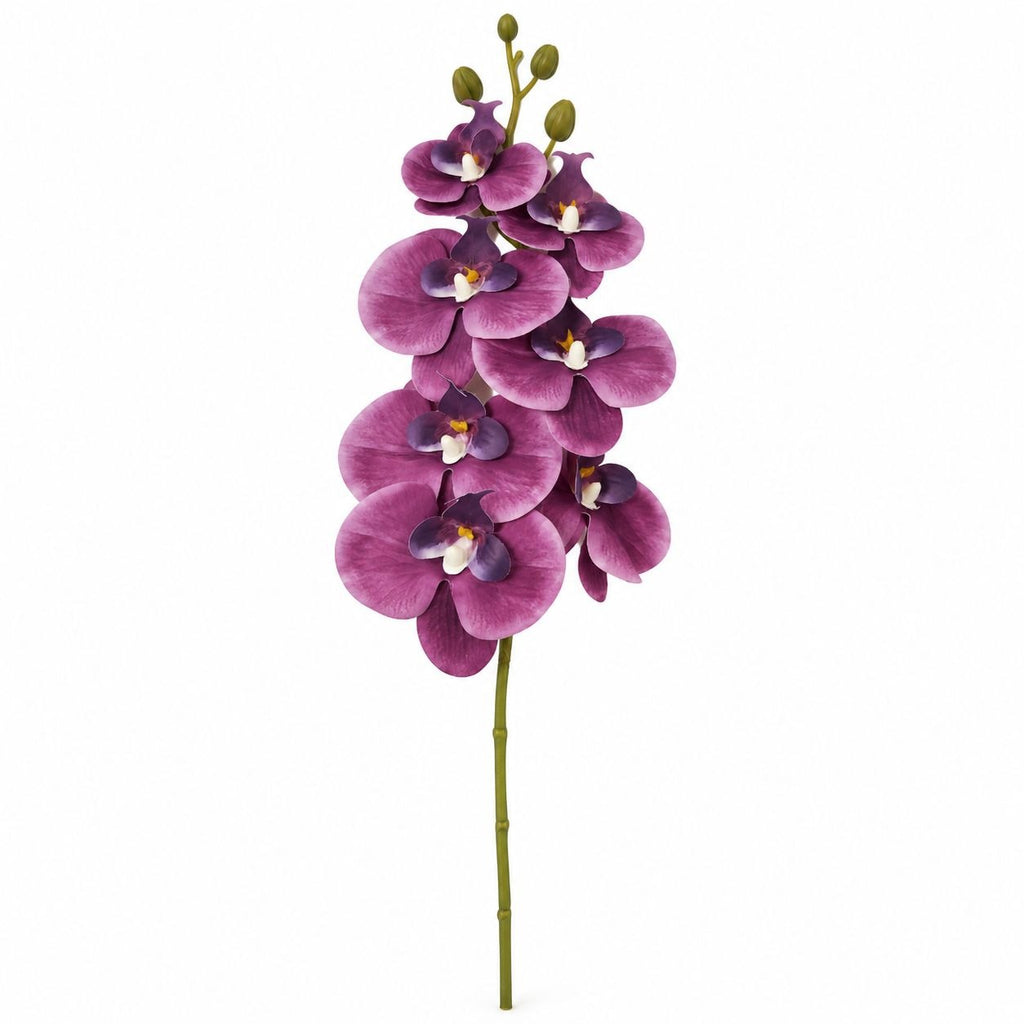 Real-Touch Plum Purple Orchid Stem, 30-Inch Faux Flower, 7 Blooms 4 Buds