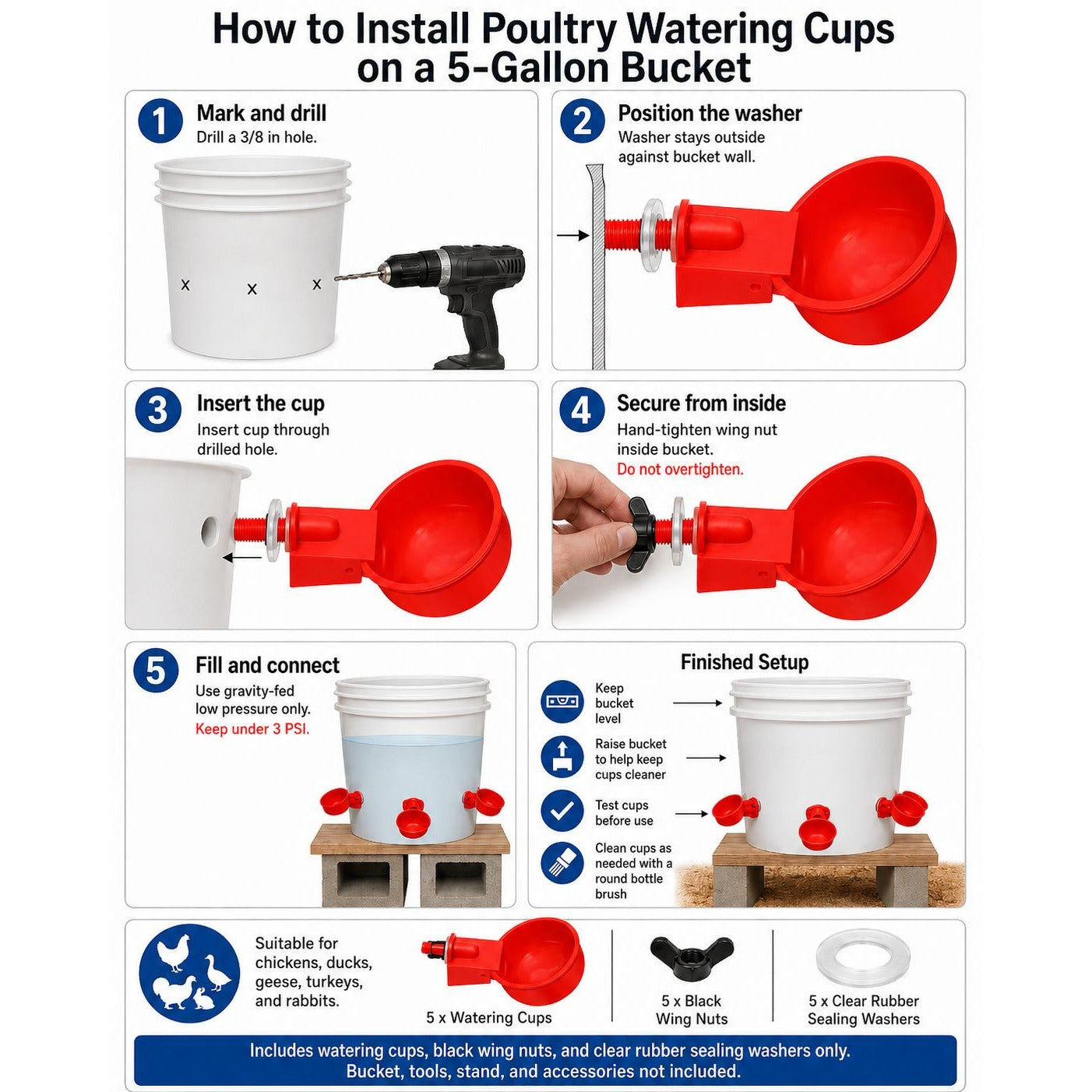 Automatic Poultry Water Cups Set of 5 | No Peck Gravity Waterer for Chicken Duck Turkey Game Birds