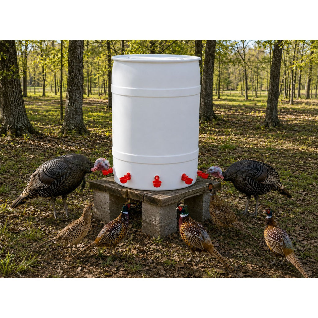 Automatic Poultry Water Cups Set of 5 | No Peck Gravity Waterer for Chicken Duck Turkey Game Birds