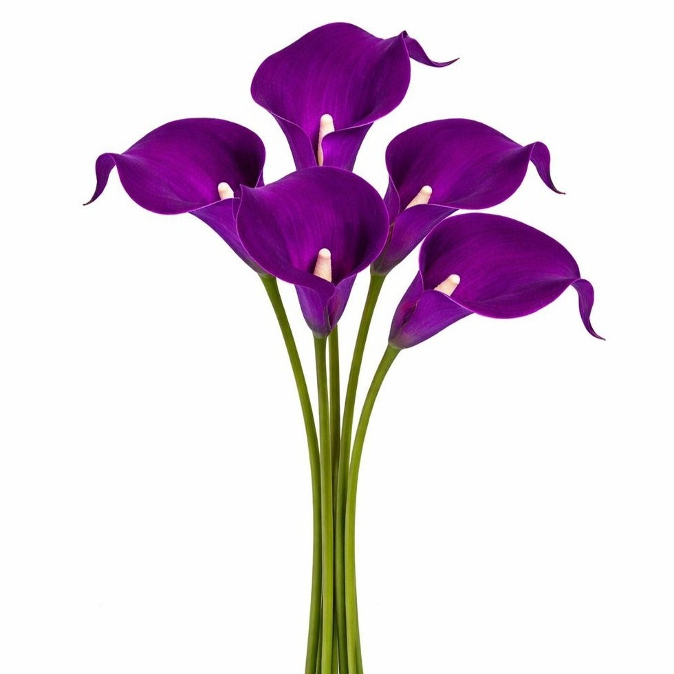 Purple Calla Lily Bundle 5 Stem Artificial Flowers Wedding Bouquet Centerpiece Home Decor