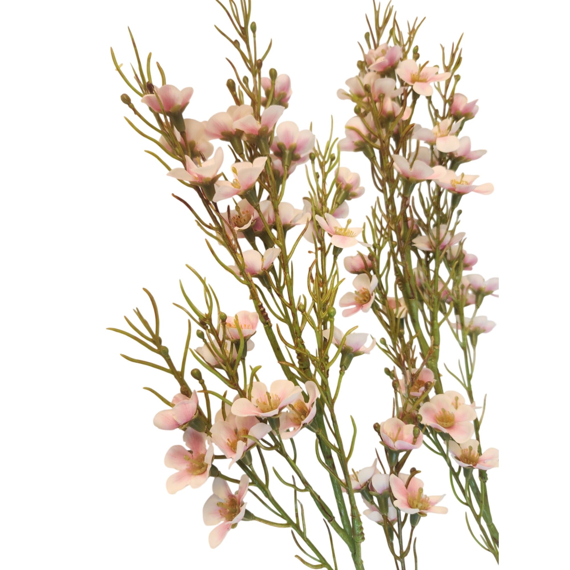 Artificial Blush Pink Dogwood Stems 2 Pcs Two Tone Wax Flower Faux Floral Wedding Decor 24 Inch