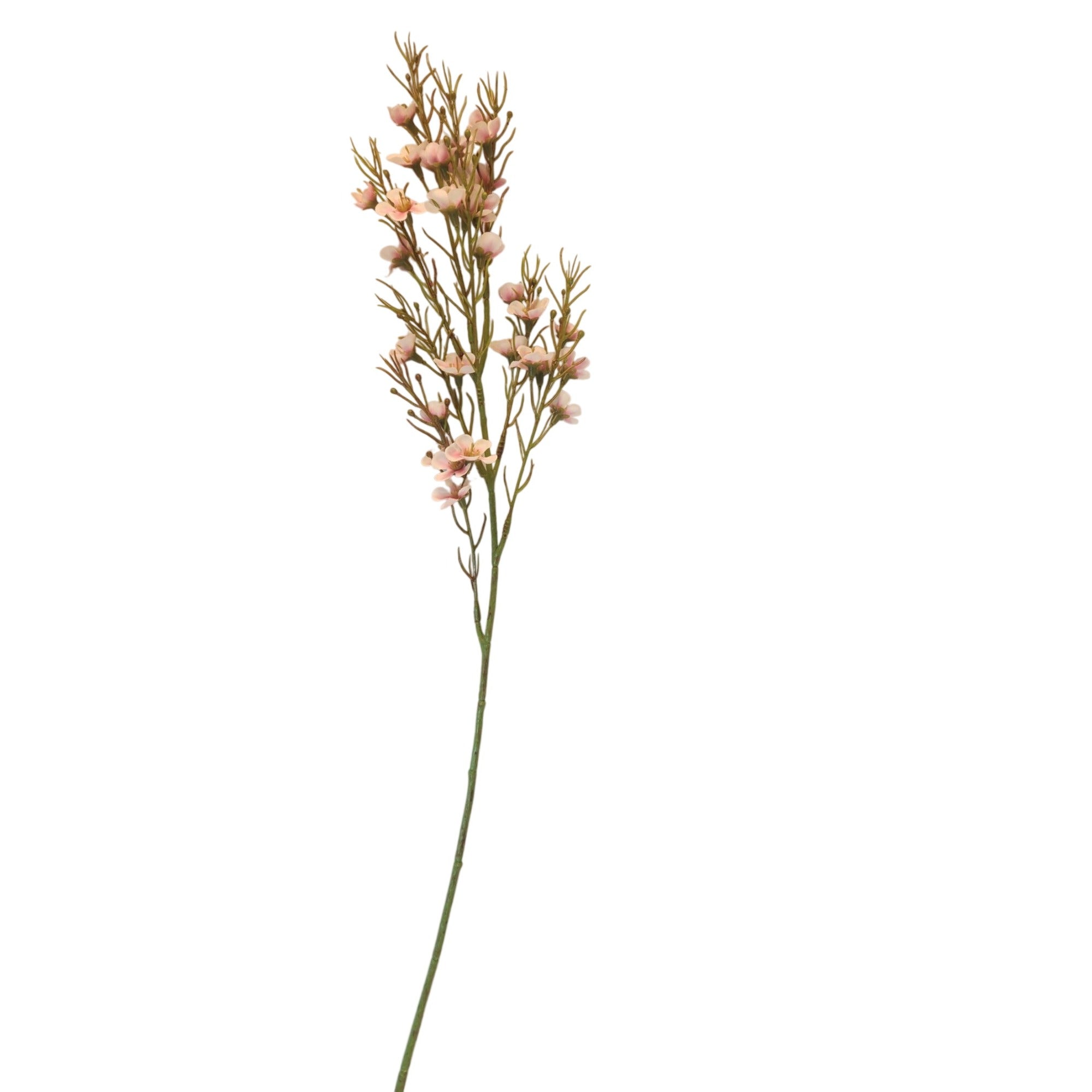 Artificial Blush Pink Dogwood Stems 2 Pcs Two Tone Wax Flower Faux Floral Wedding Decor 24 Inch