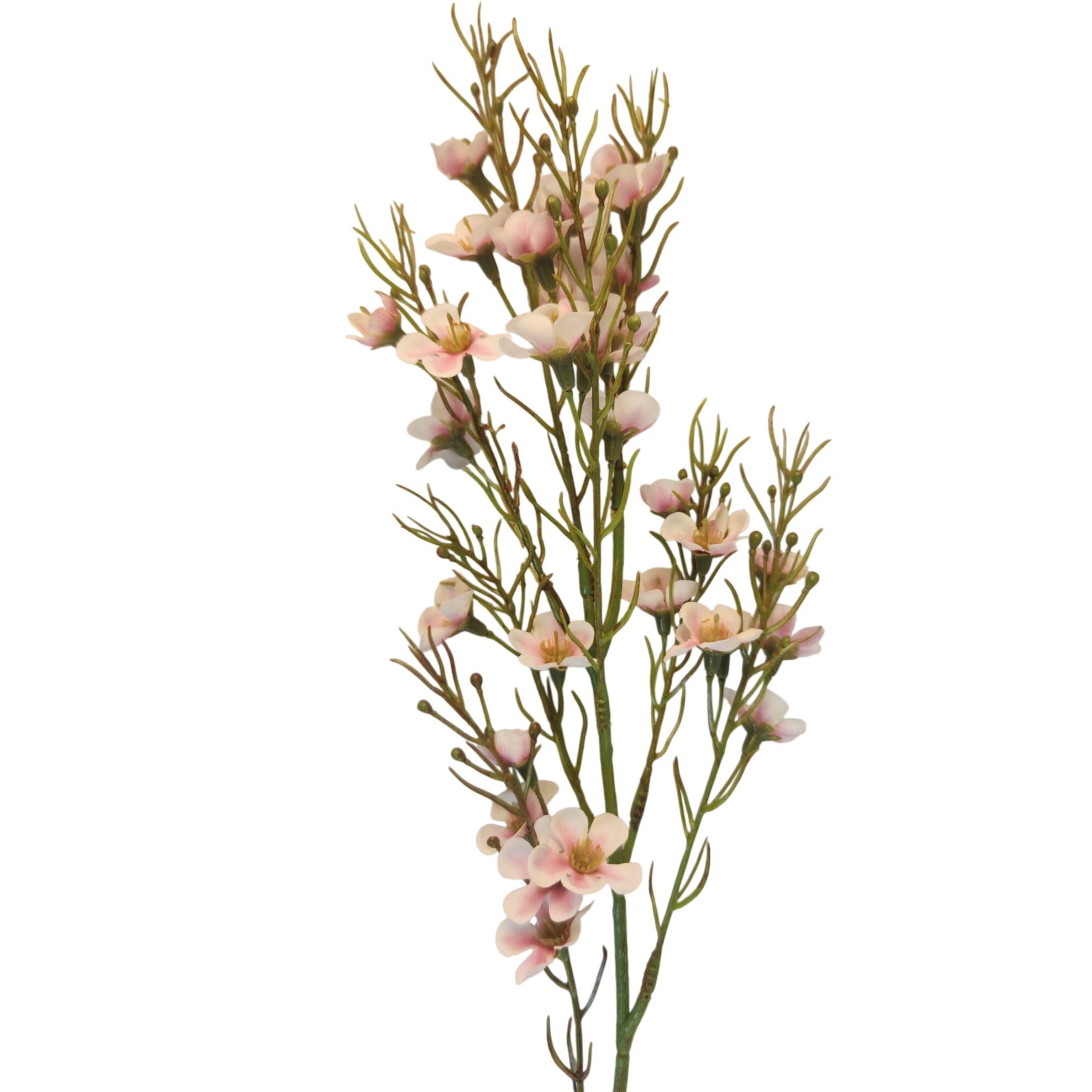 Artificial Blush Pink Dogwood Stems 2 Pcs Two Tone Wax Flower Faux Floral Wedding Decor 24 Inch
