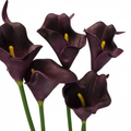 Close-up of eggplant purple faux calla lily stems showing rich deep color and elegant curved petals, dramatic lighting