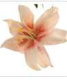 Luxury Artificial Asiatic Lily Stem 27 Inch | Blush Pink and White Faux Lily | Designer Wedding Floral | Elegant Home Decor