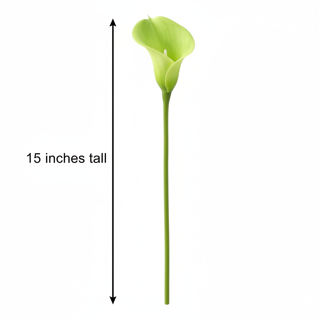 Single artificial lime green calla lily stem standing upright showing full 15 inch height with measurement arrow