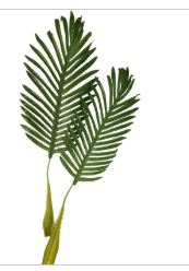 Artificial Palm Leaves 22" Set of 2 - Realistic Tropical Green Fronds Flexible Stems