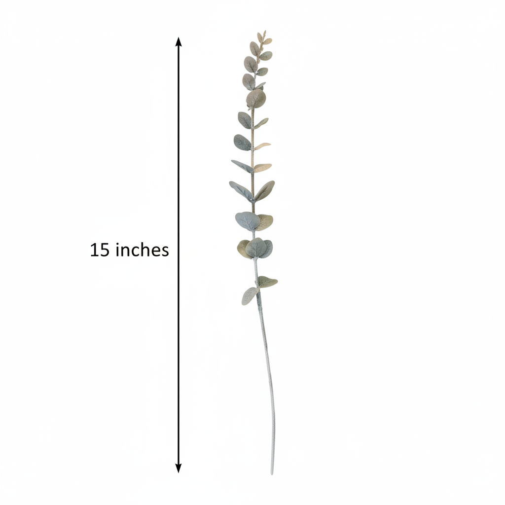 Baby blue eucalyptus stem flat lay on white background with black measurement arrow showing 15 inches tall