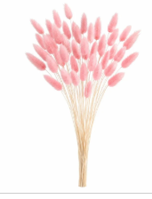 Blush pink bunny tail grass 80 stems, dried lagurus in cotton candy pink with natural cream straw stems
