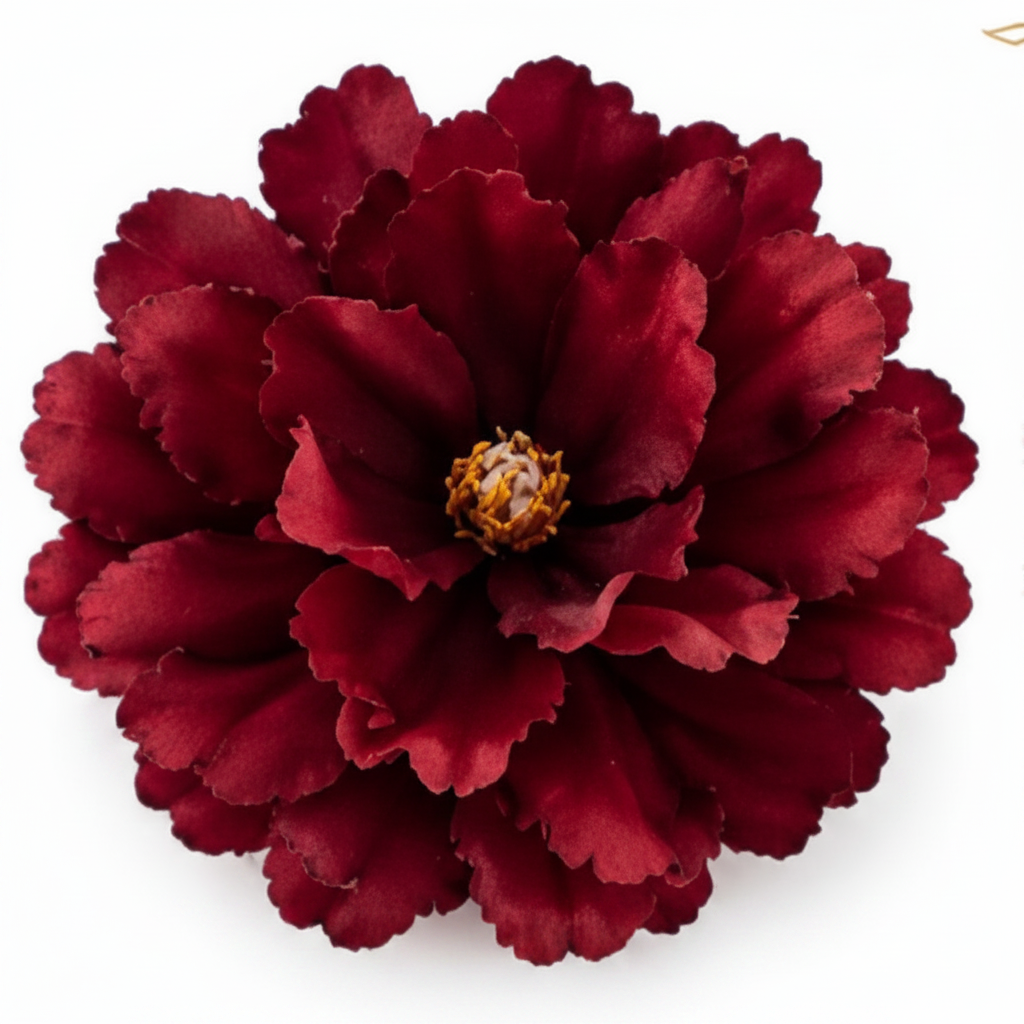 Close-up of single burgundy red peony flower pick bloom with golden yellow center on white background