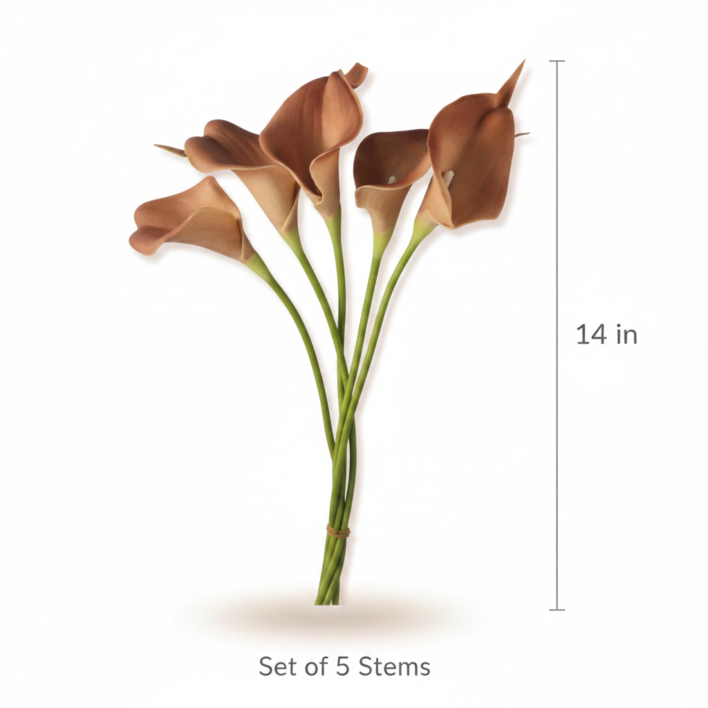 Size reference card for terracotta burnt orange artificial calla lily stems showing 14 inch height with clean dimension lines, set of 5 stems on white background