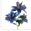 Luxury Artificial Tiger Lily Stem 34 Inch | Blue Faux Lily | Designer Artificial Silk Floral | Elegant Wedding Home Decor
