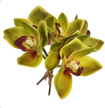 Green Cymbidium Orchid Artificial Flowers 6 Stem Bundle, Faux Orchid Wedding Flowers, DIY Corsage Boutonniere Supply