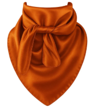 Burnt Orange Wild Rag Scarf - 35x35 Inch Satin Cowboy Bandana for Women & Men