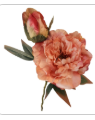Peach Coral Faux Peony Stem 18 Inch Wedding Artificial Silk Flower Cream Center