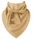 Champagne Wild Rag Scarf 35x35 Satin Western Cowgirl Cowboy Bandana