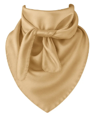 Champagne Wild Rag Scarf 35x35 Satin Western Cowgirl Cowboy Bandana