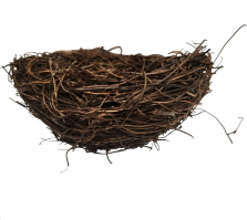 Rustic Twig Bird Nest 6 Inch Natural Handcrafted Nest Farmhouse Spring Decor