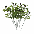Set of 8 artificial olive branch stems with green leaves and dark black oval berries fanned out on pure white background