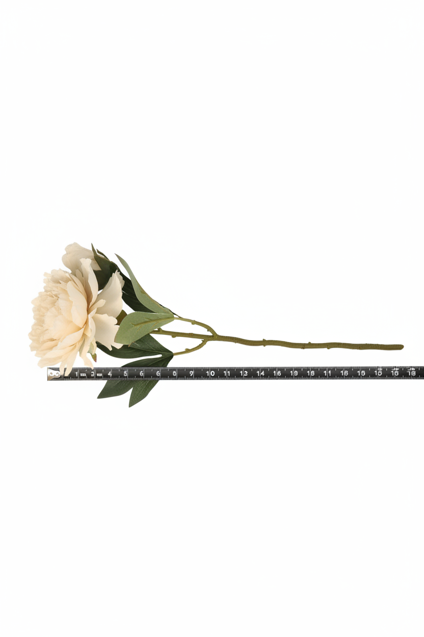 Full length view of 18 inch cream ivory silk peony stem showing complete product dimensions